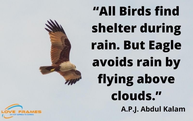 Dr. Abdul Kalam Quotes | Inspiration And Success quotes by abdul kalam
