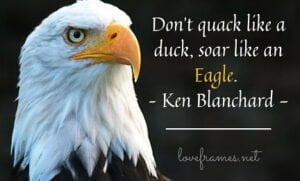 Be an Eagle Quotes | Inspirational Eagle Quotes
