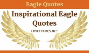 Inspirational Eagle Quotes