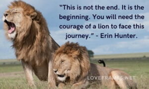 The Lion Quotes - Fantastic