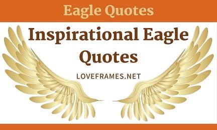 Inspirational Eagle Quotes10