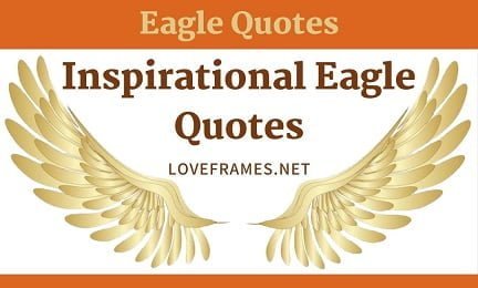 100 Unique Eagle Attitude Quotes to Soar in Life