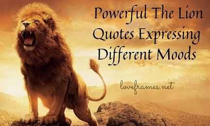 Powerful The Lion Quotes Expressing Different Moods 11zon
