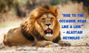 The Lion Quotes about Strength