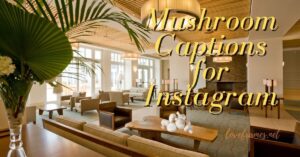 Mushroom Captions | Mushroom Captions for Instagram