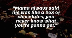 Where Did the Life is Like a Box of Chocolates Quote Come From