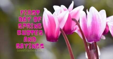 100 First Day of Spring Quotes and Sayings