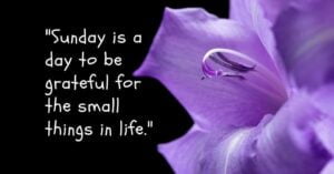 Goodmorning Happy Sunday Quotes