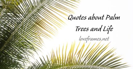 Quotes about Palm Trees
